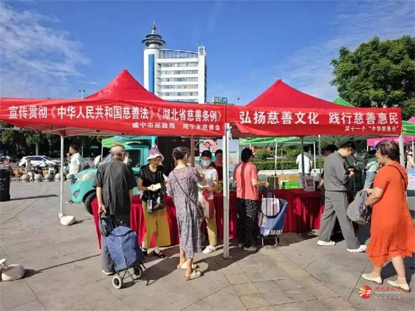 体育投注网站